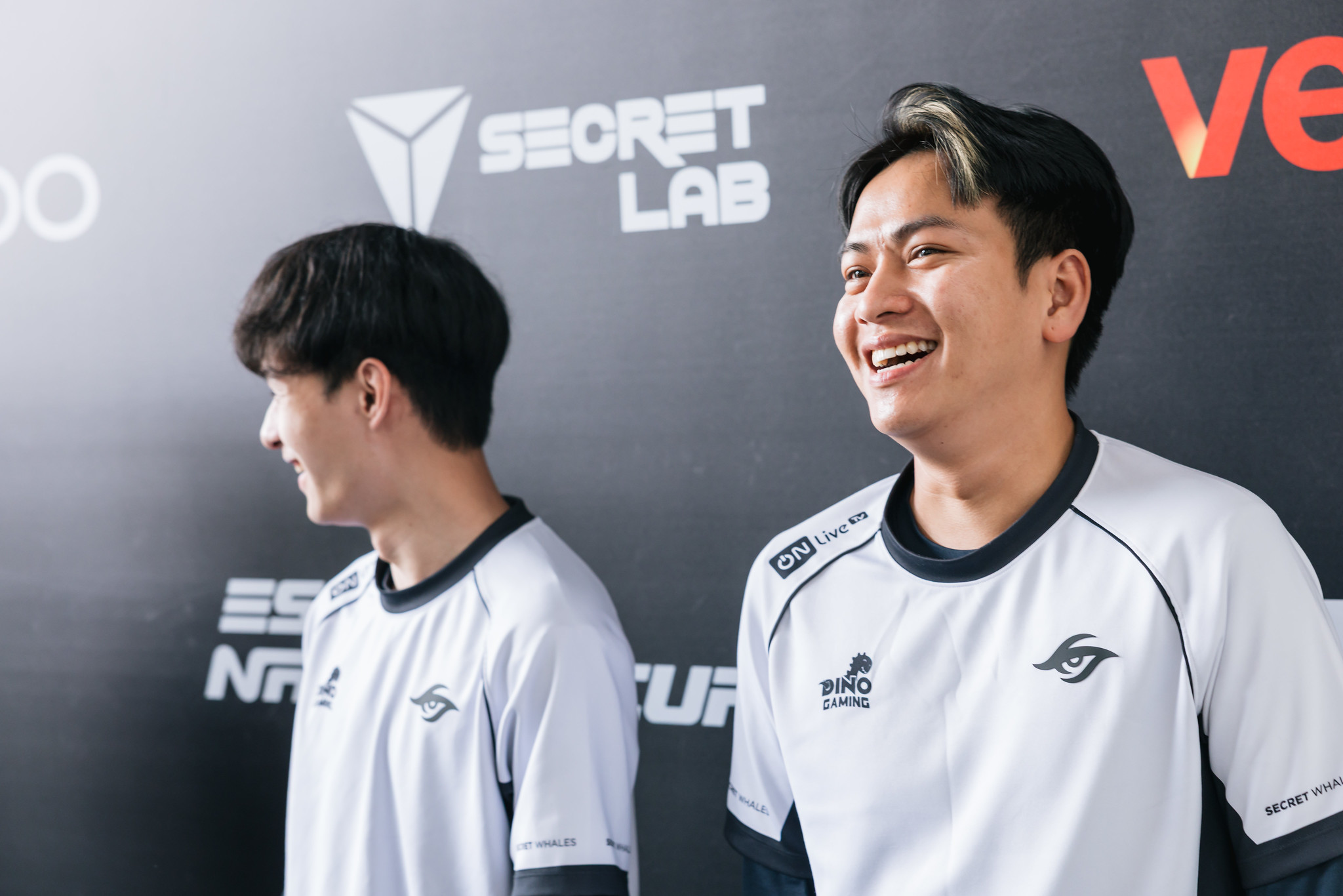 vcs msi 2