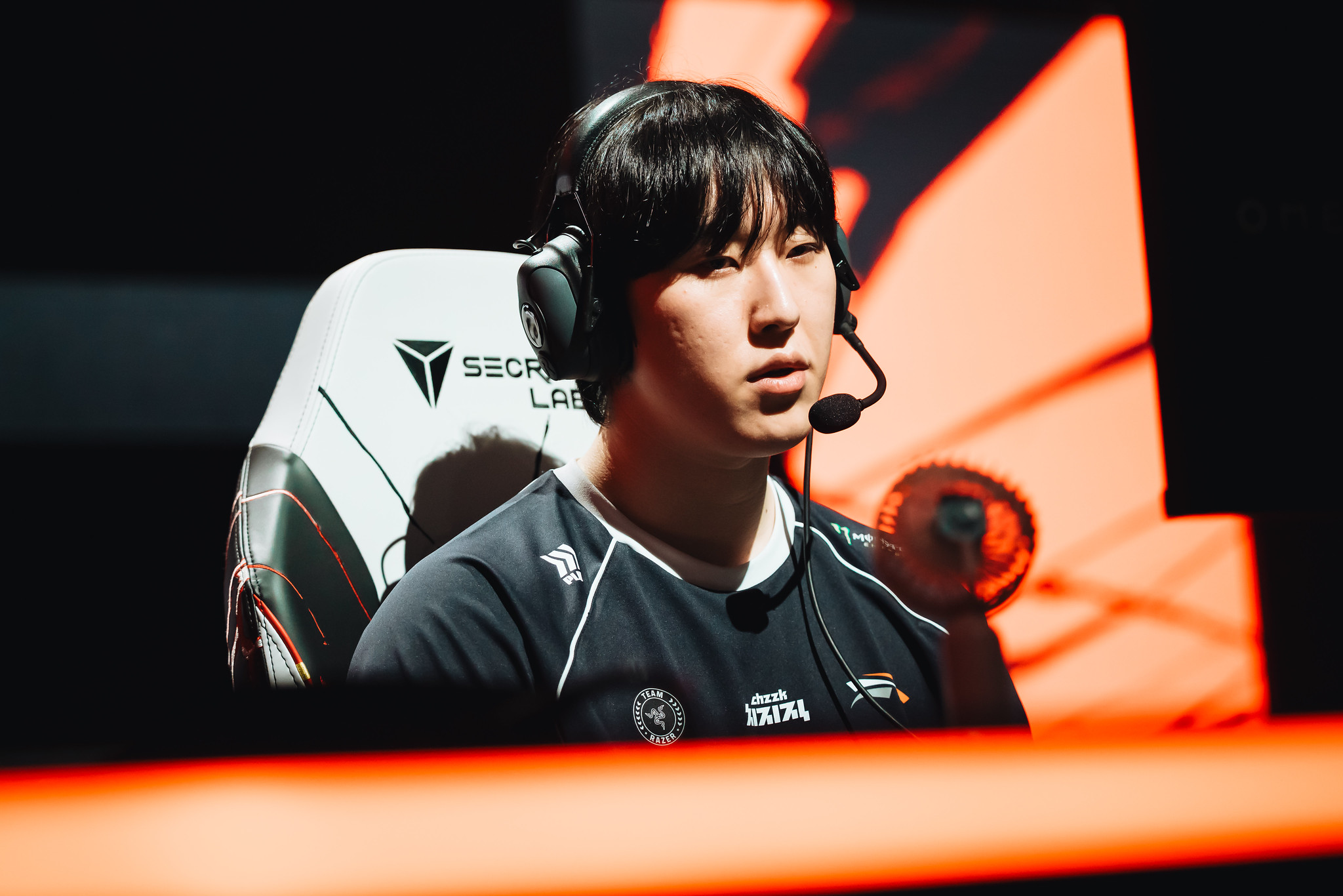 zeka hle msi 2