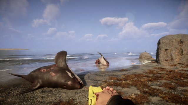screenshot9