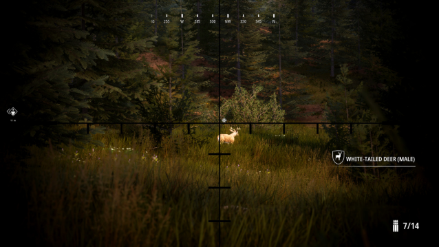 screenshot46