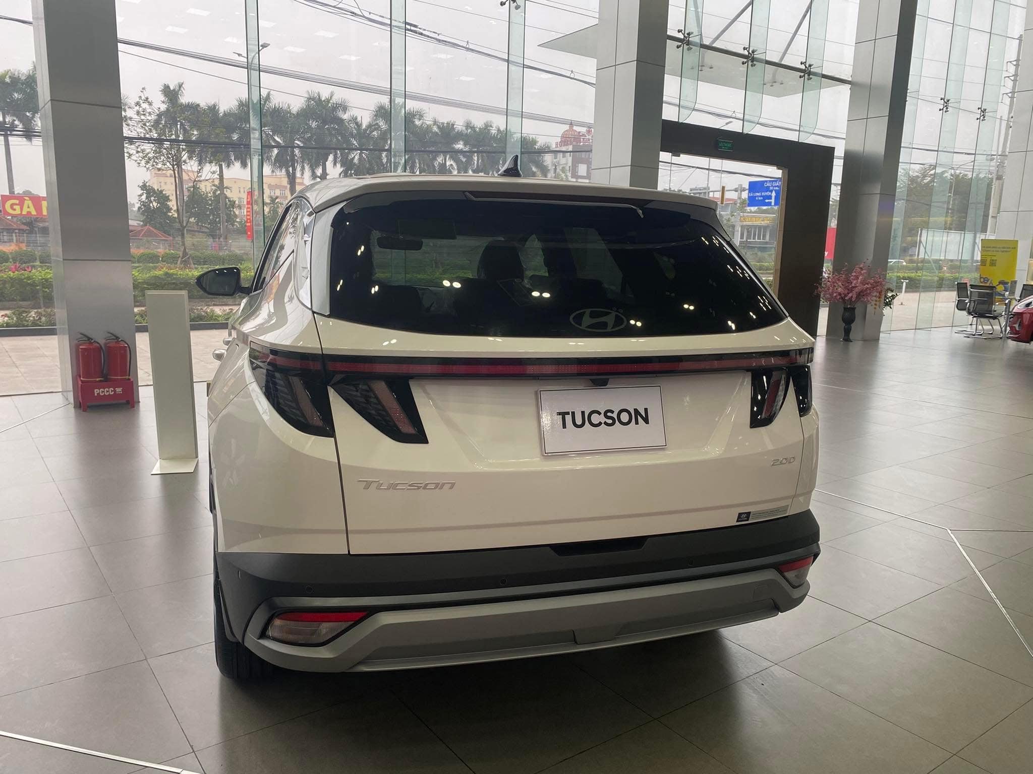 48165785723902051179870437478232312028787365n