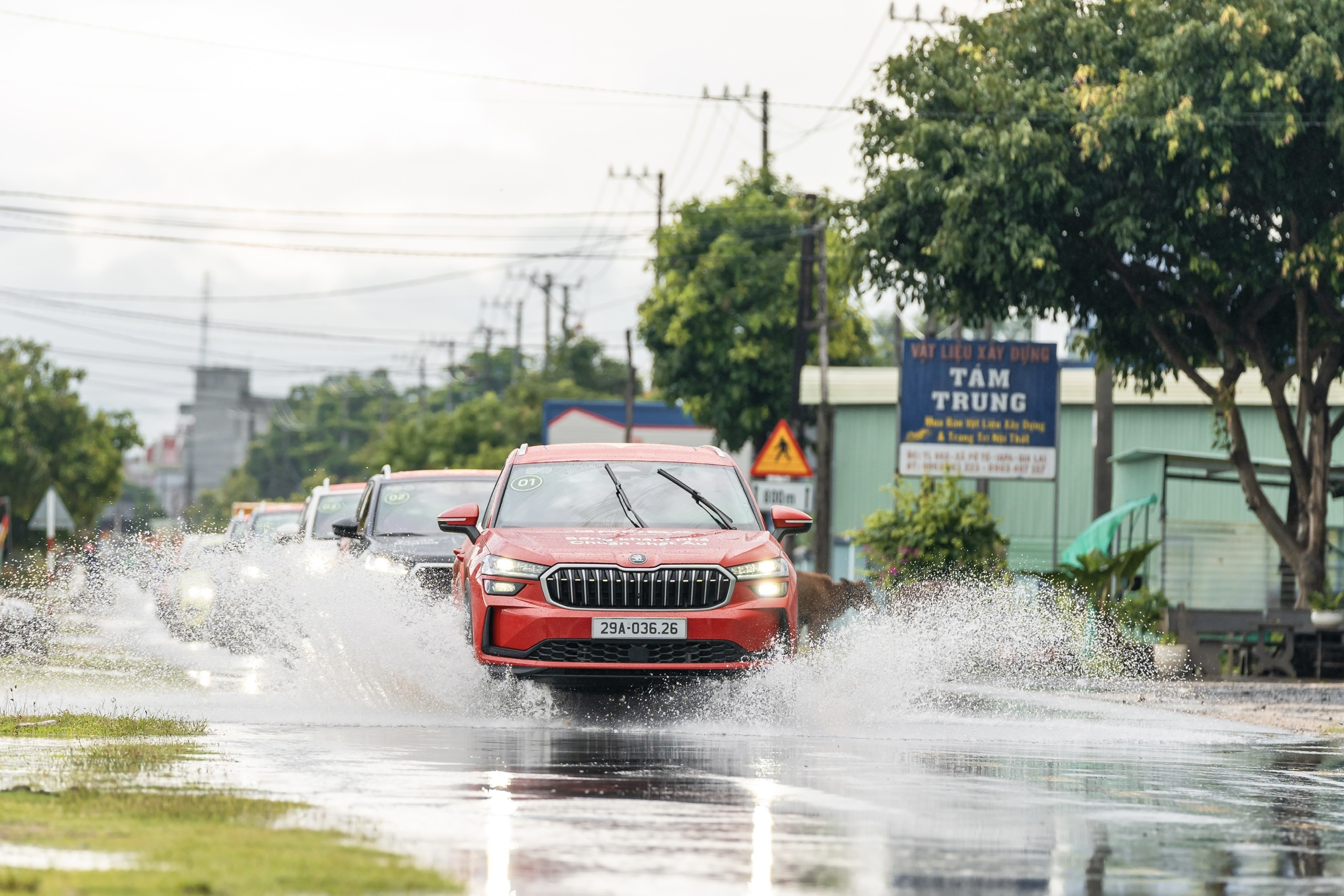 z6931572051786f049aca3c77f463e4bdcf02b7e4da8fc