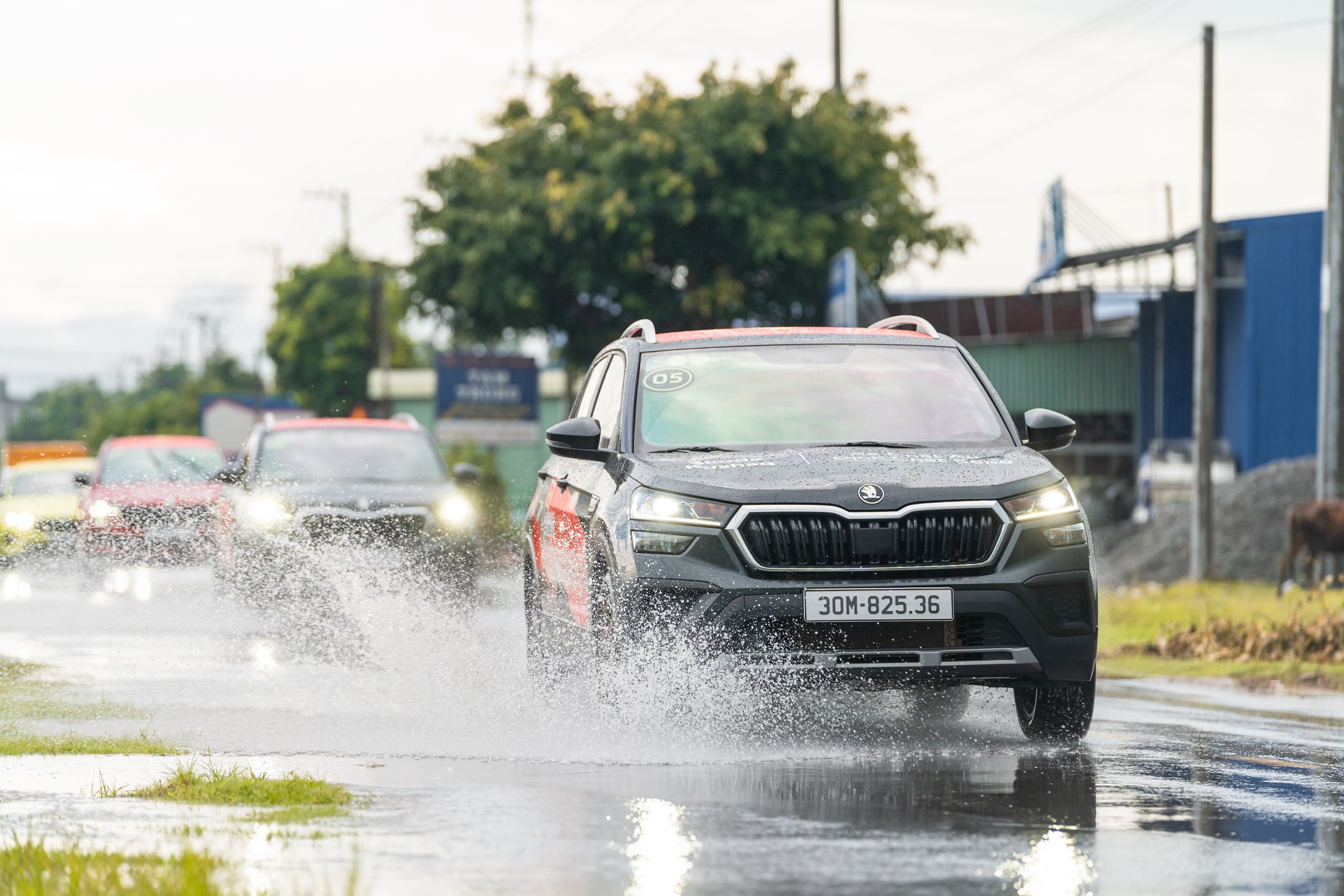 z69315721247555370deb324441039e309497936aeea1d