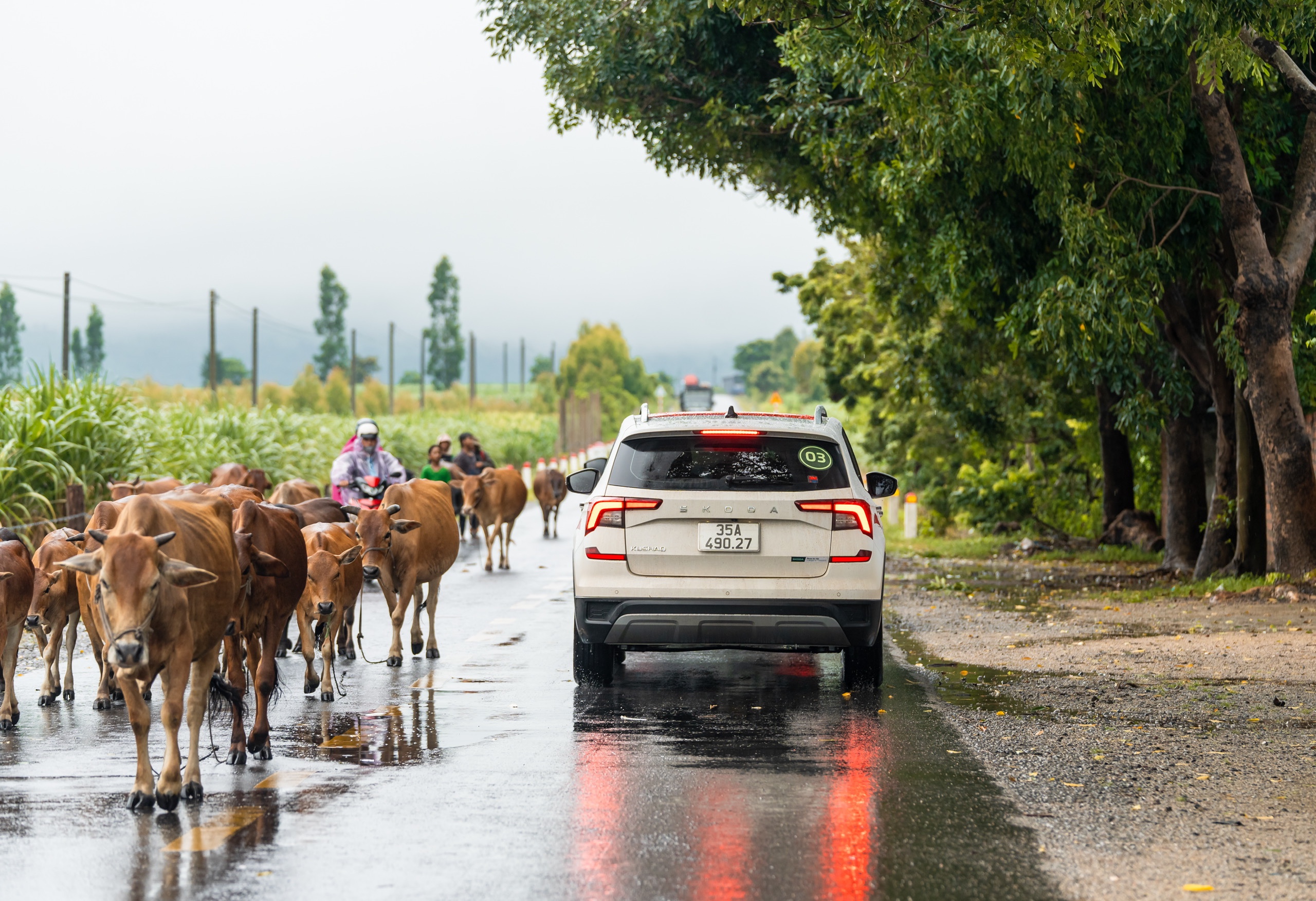 z69315722656548539ad5d60e9586d7afa38bdeb35ed91