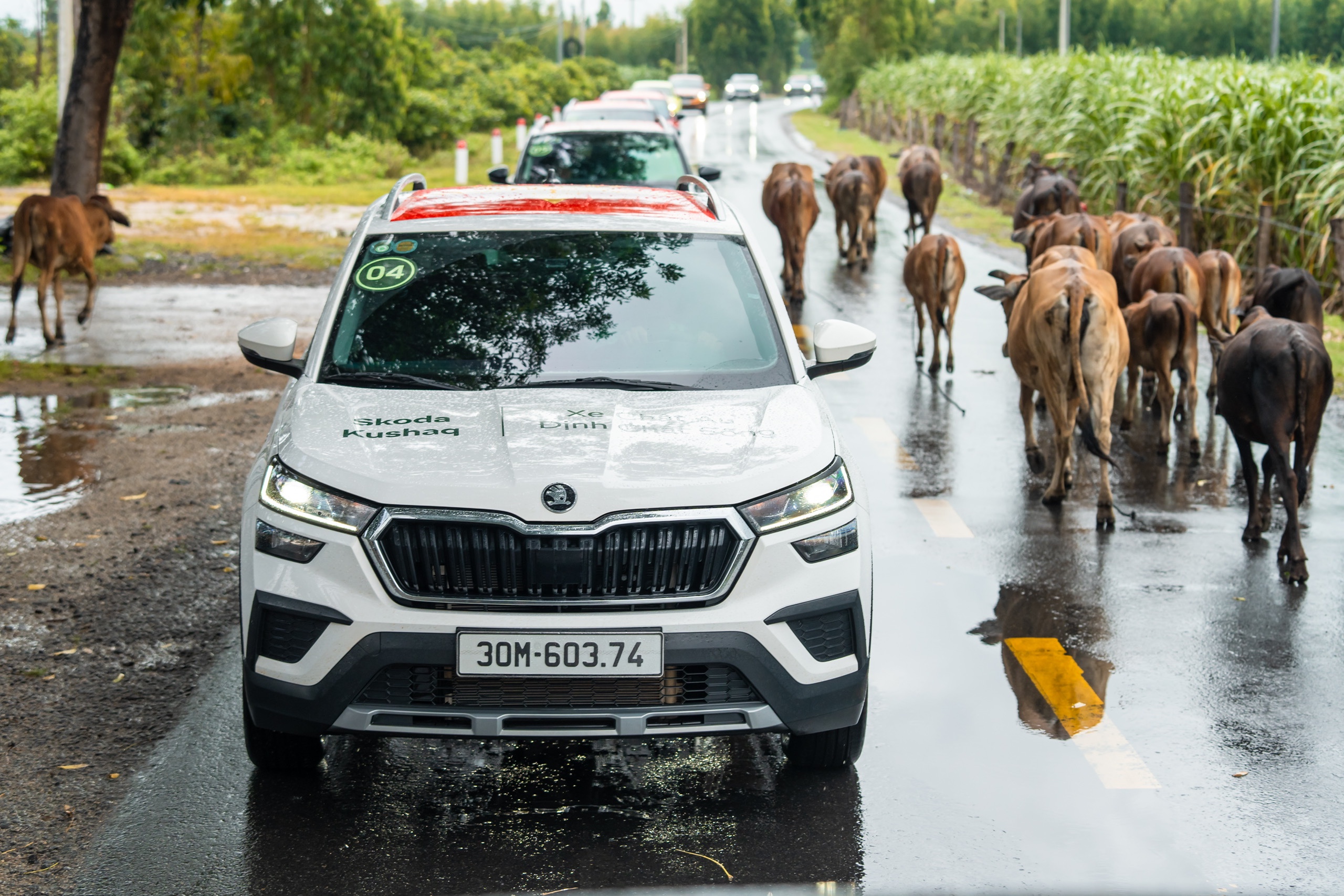 z6931572307487d29190f9de41899b809a886db67d8df5