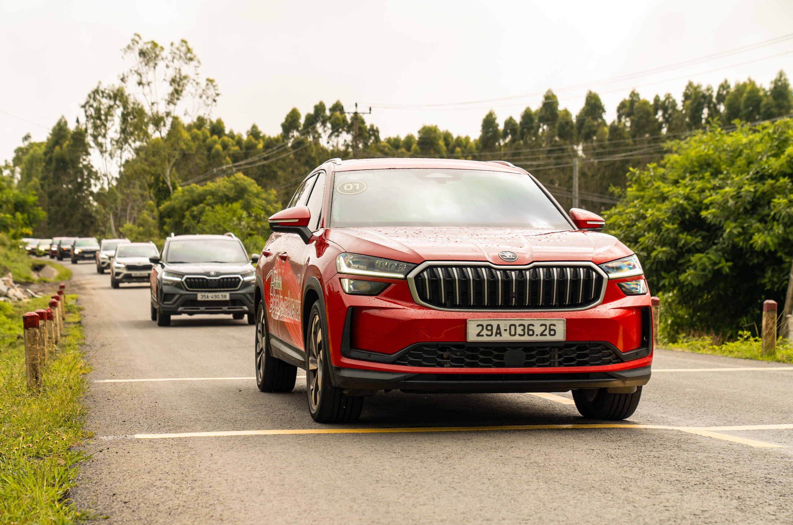 z69315725393583dd021f565a373486493bbf811ea754f