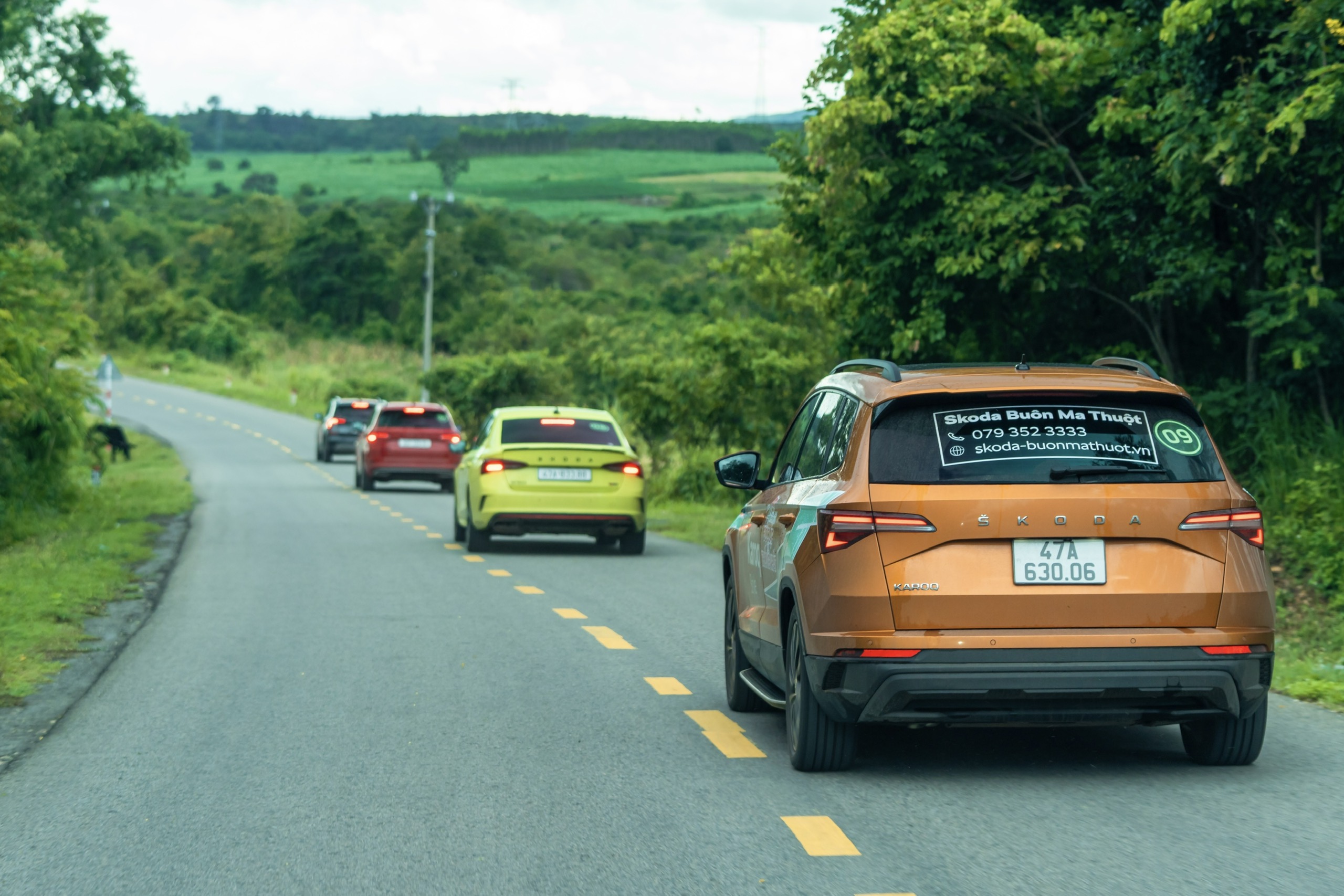 z6931572697912012a9e9980faff94575c823834f147bc