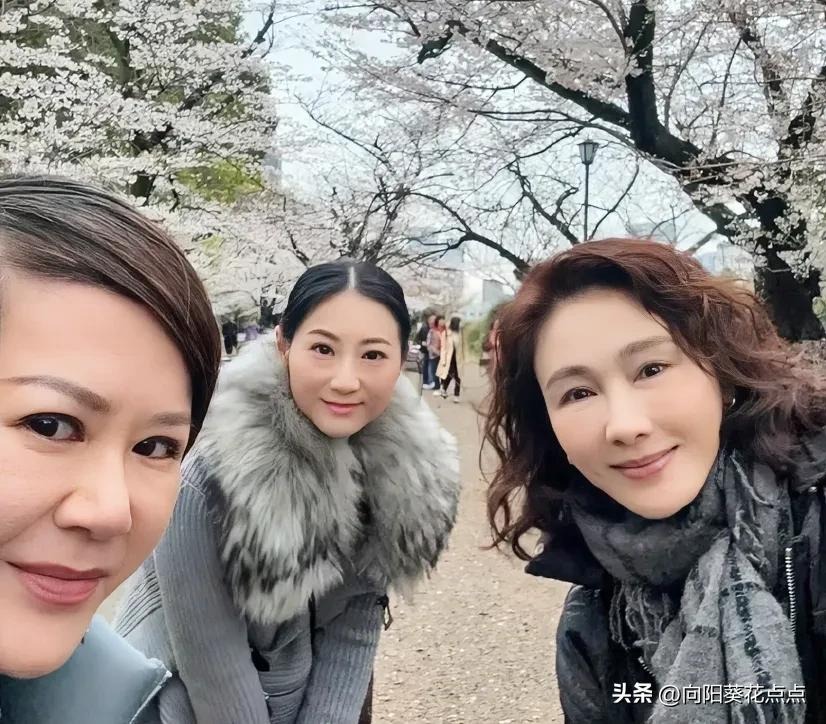 989b1c97cf524d90a564ab588f76132d