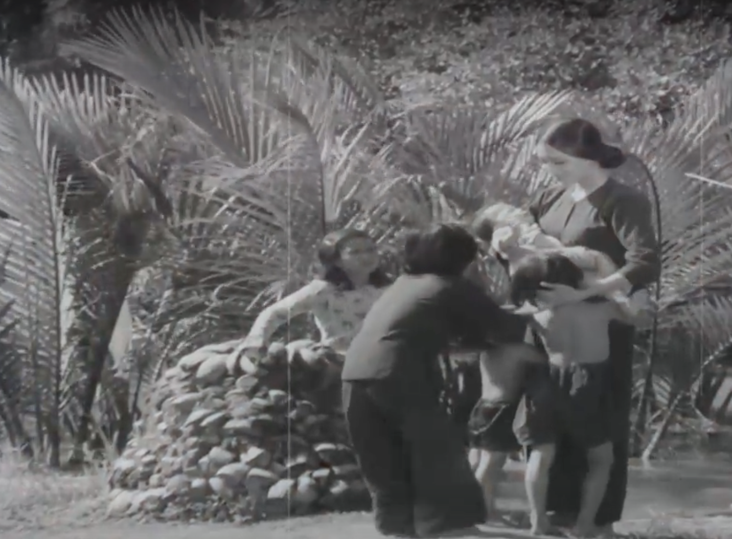 anh man hinh 2025 04 27 luc 154328