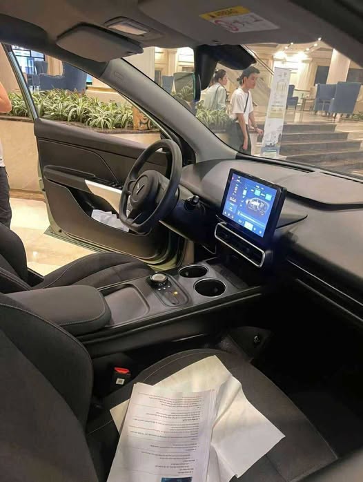 vinfast limo green noi that thuc te 1