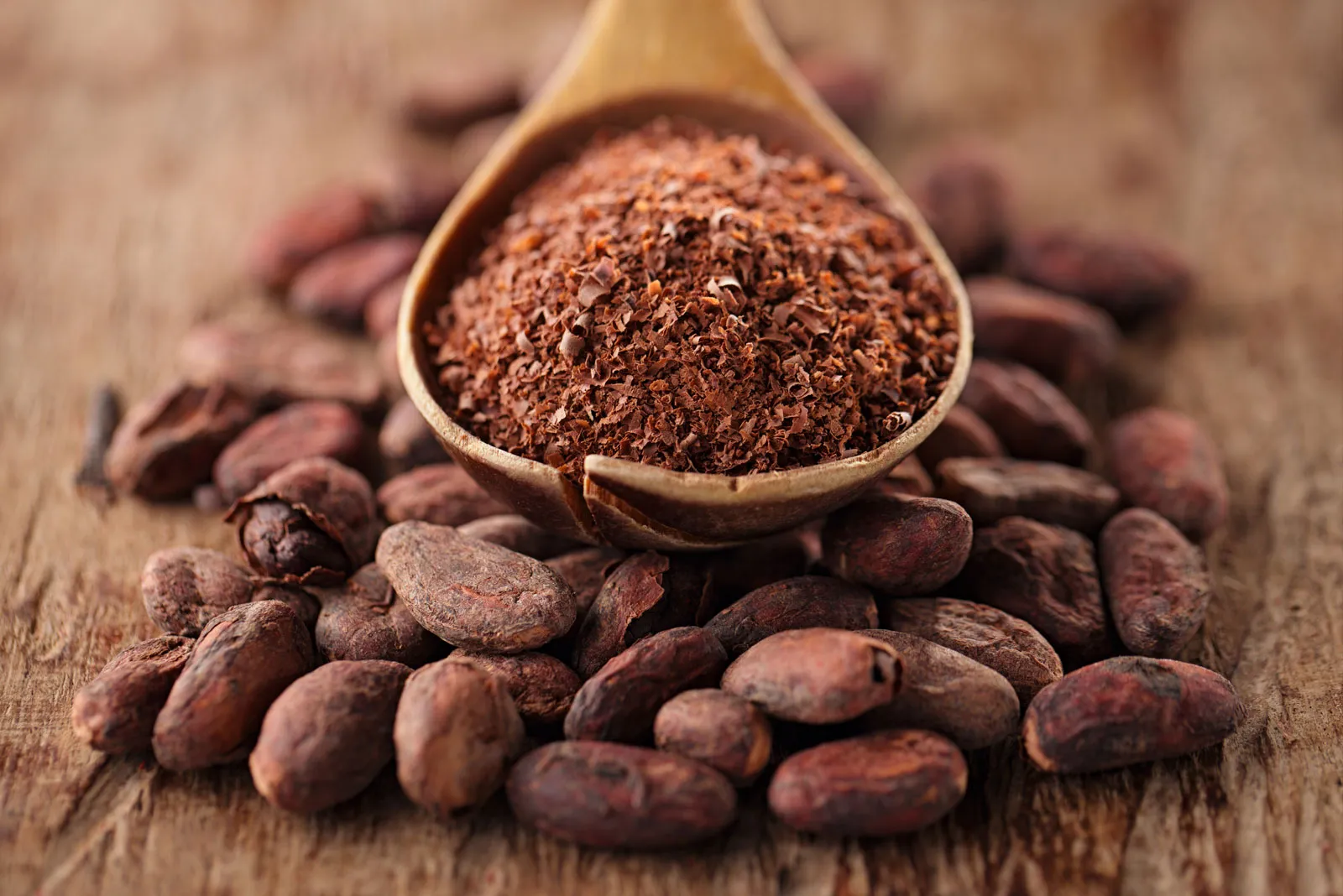 cocoa powder cocoa beans