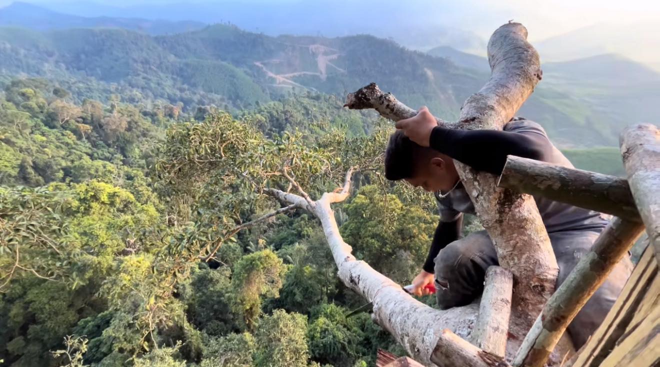 48516189413128623501999574140770639520023061n