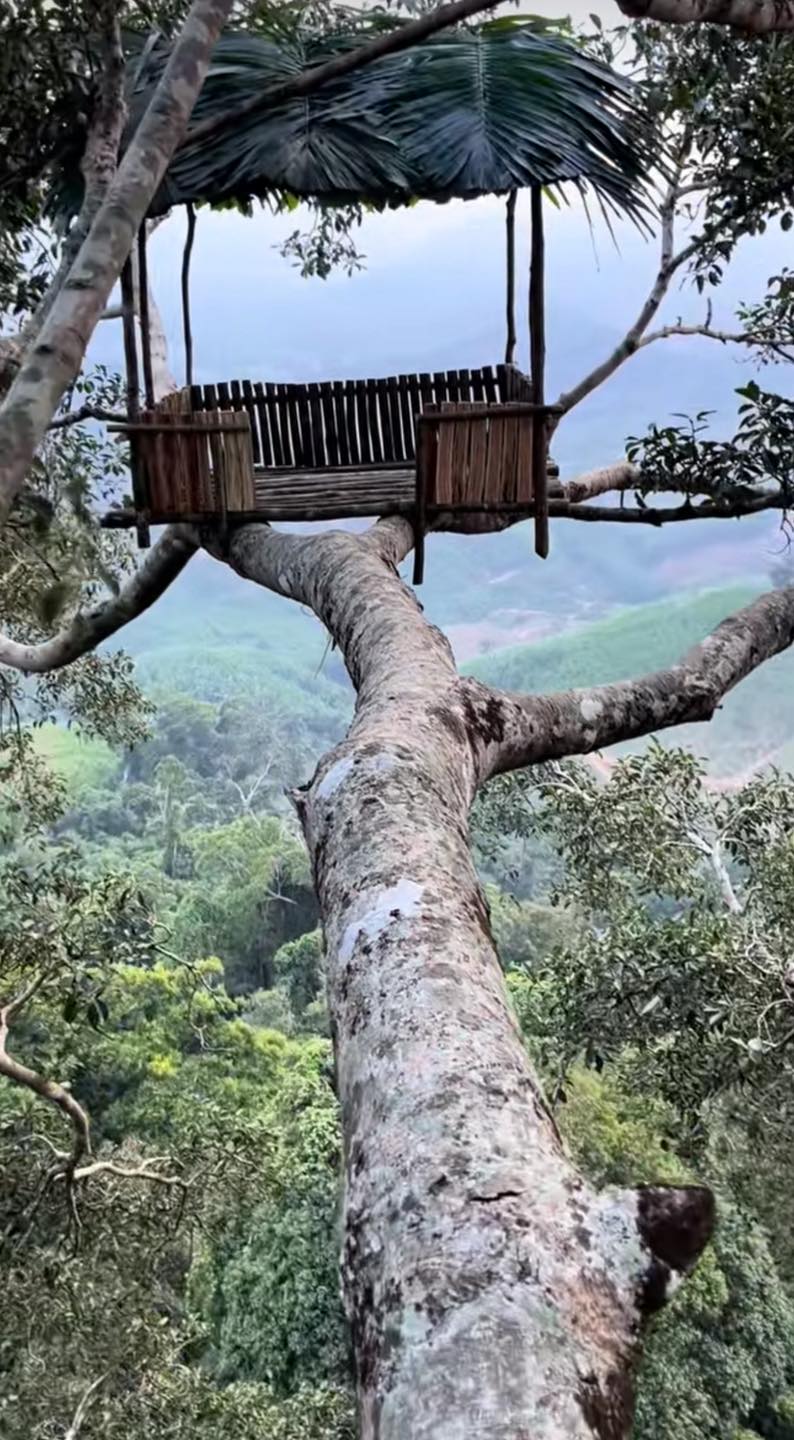 48518214713128623368666257548570299744433418n 1