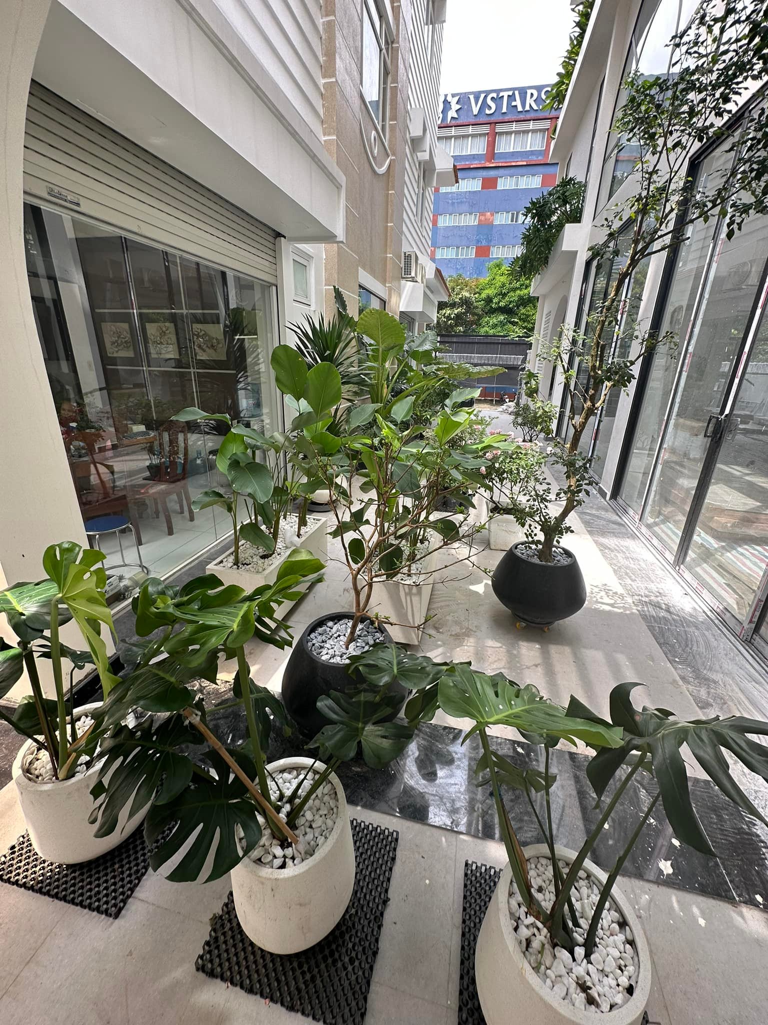 38717964232267772941346136818904227431558314n