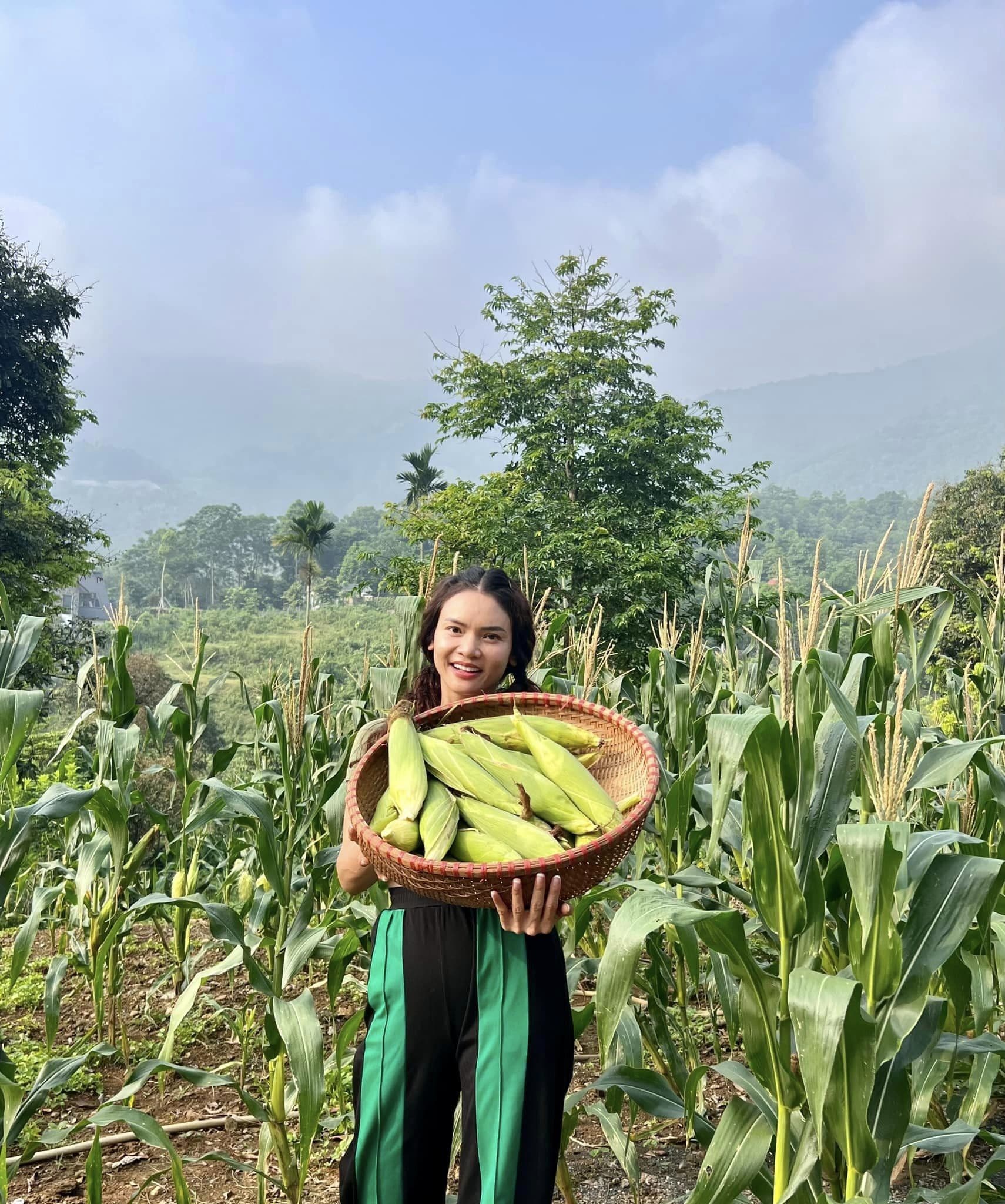 thao 10 ngoisaovn w1710 h2048