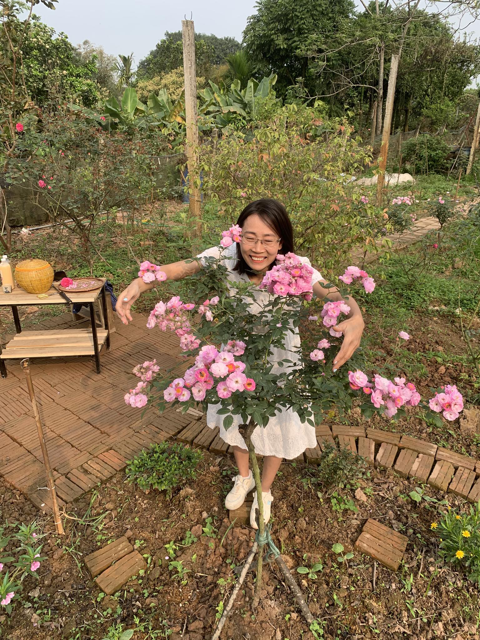 vuon hoa hong nha chi le thi mui duoc bon bang phan vi sinh nha bep hoan toan khong su dung phan hoa hoc