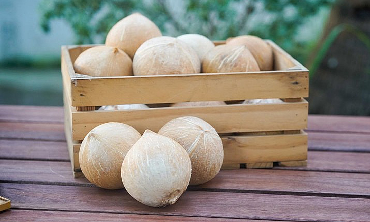 Loại quả tỷ đô của Việt Nam được người Mỹ và Trung Quốc đặc biệt yêu thích: Có thể hạ huyết áp, bổ tim