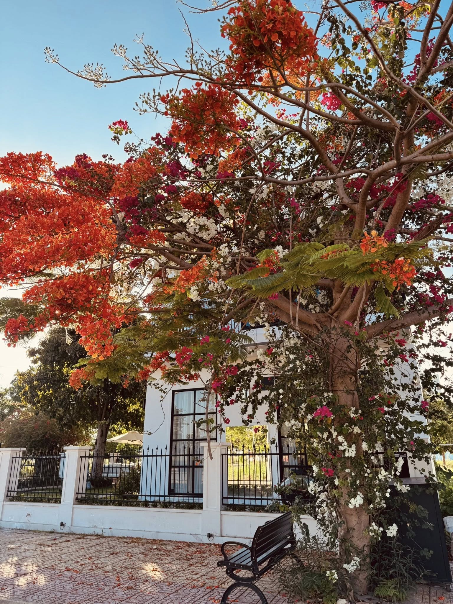 49556735140444443258822041681152308653868760n