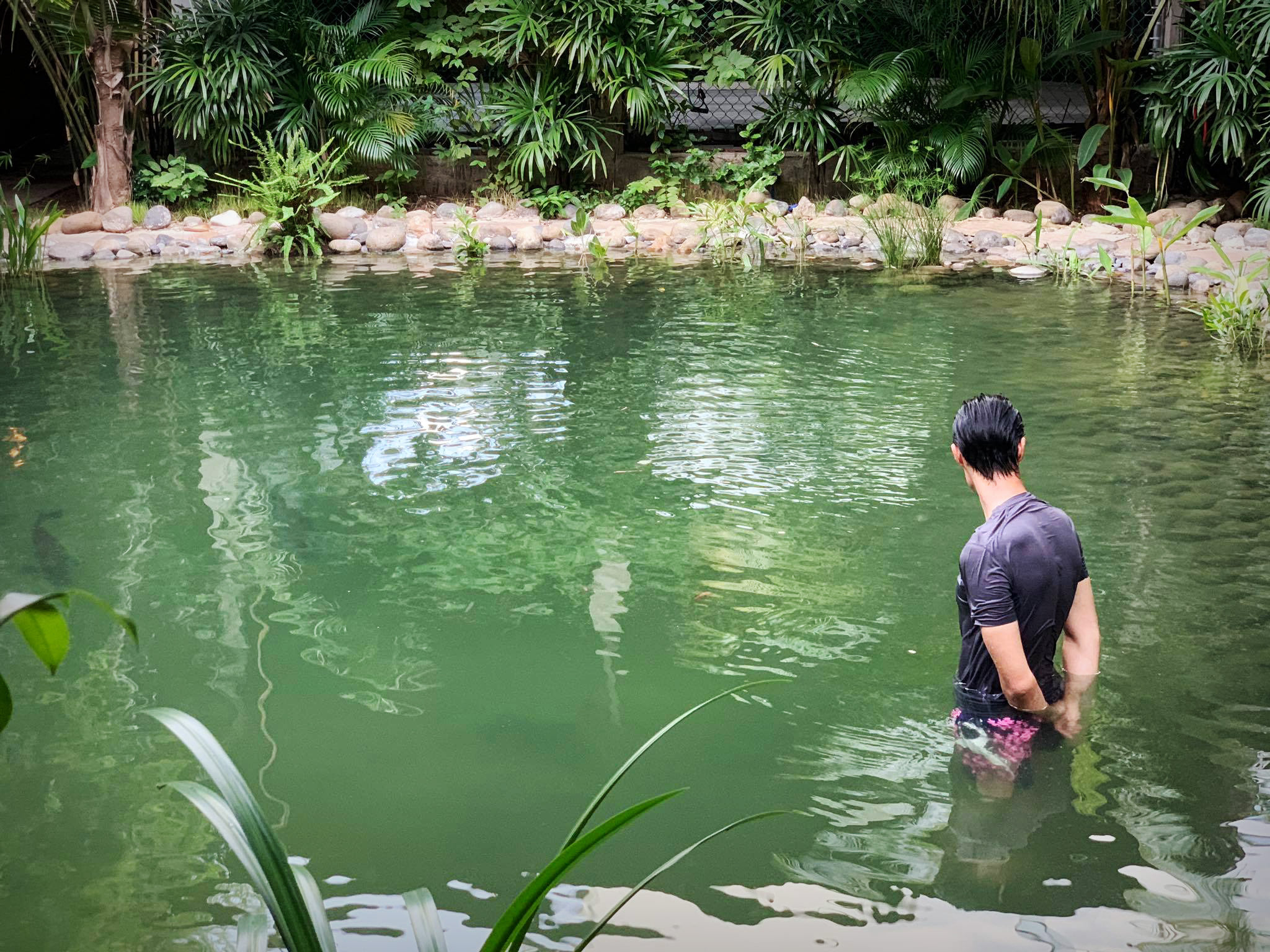 11736969624449032958078461416046754172032390n