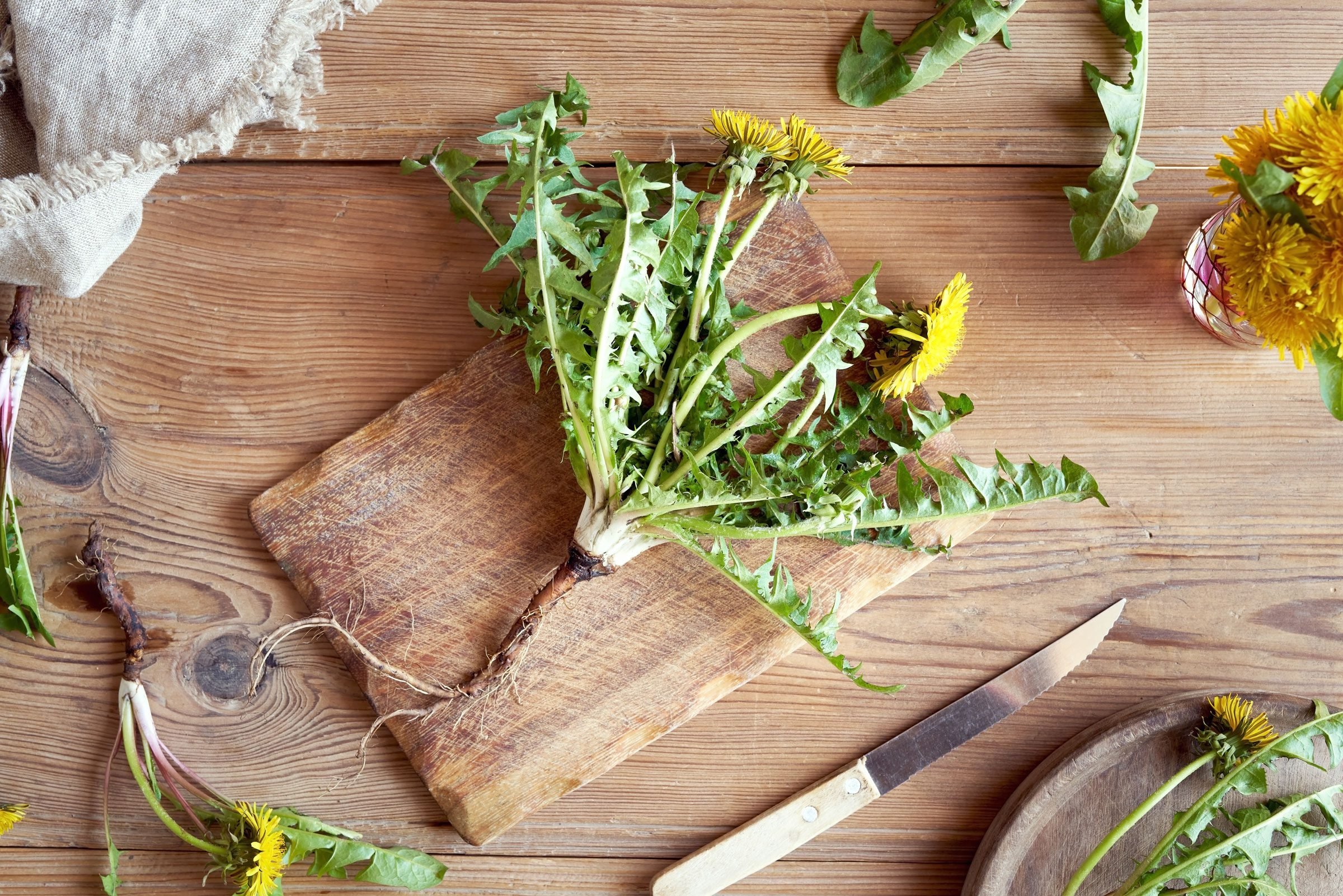 gettyimages 1315688201 can you eat dandelions jvedit