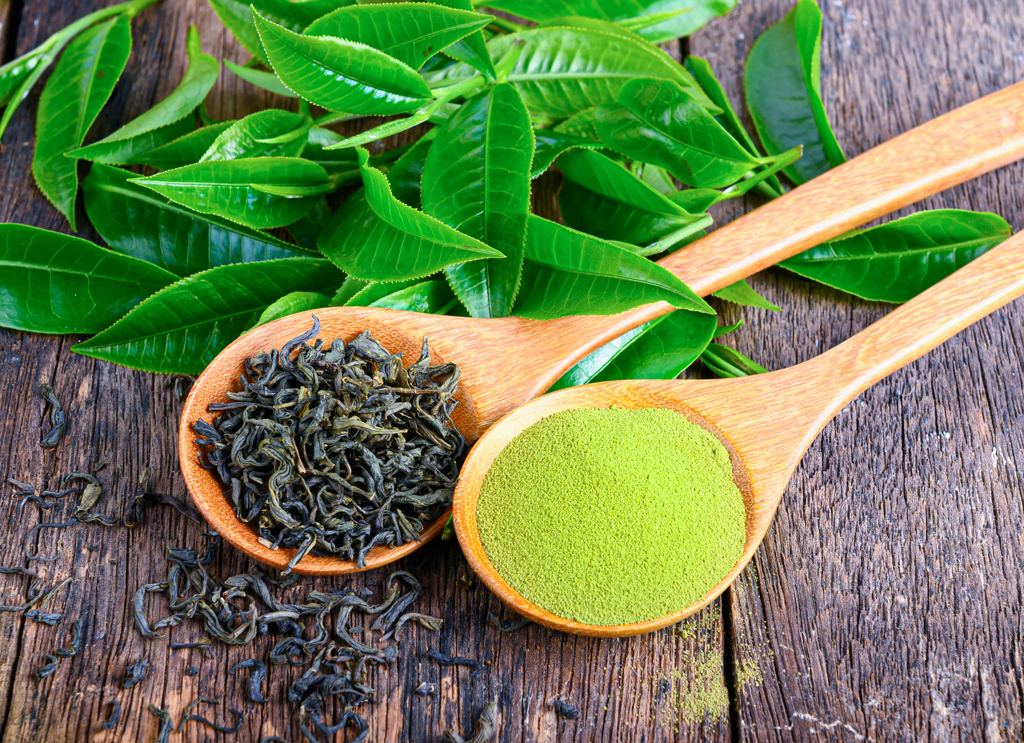 shutterstock1526508848