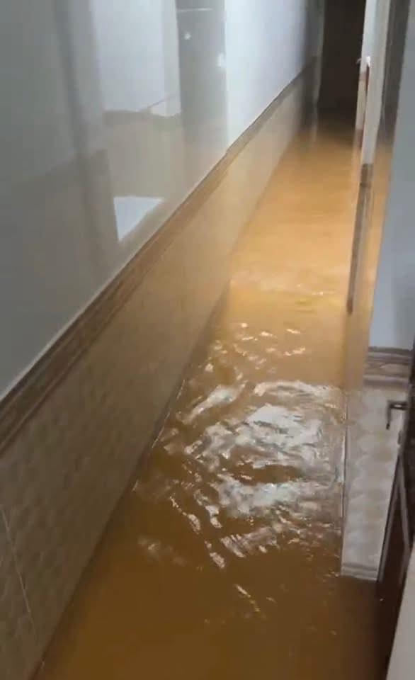 499706876712096791423756841357738638362727n