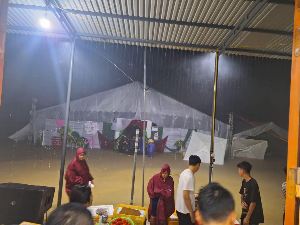 50004223811370353551168636864642771247909622n