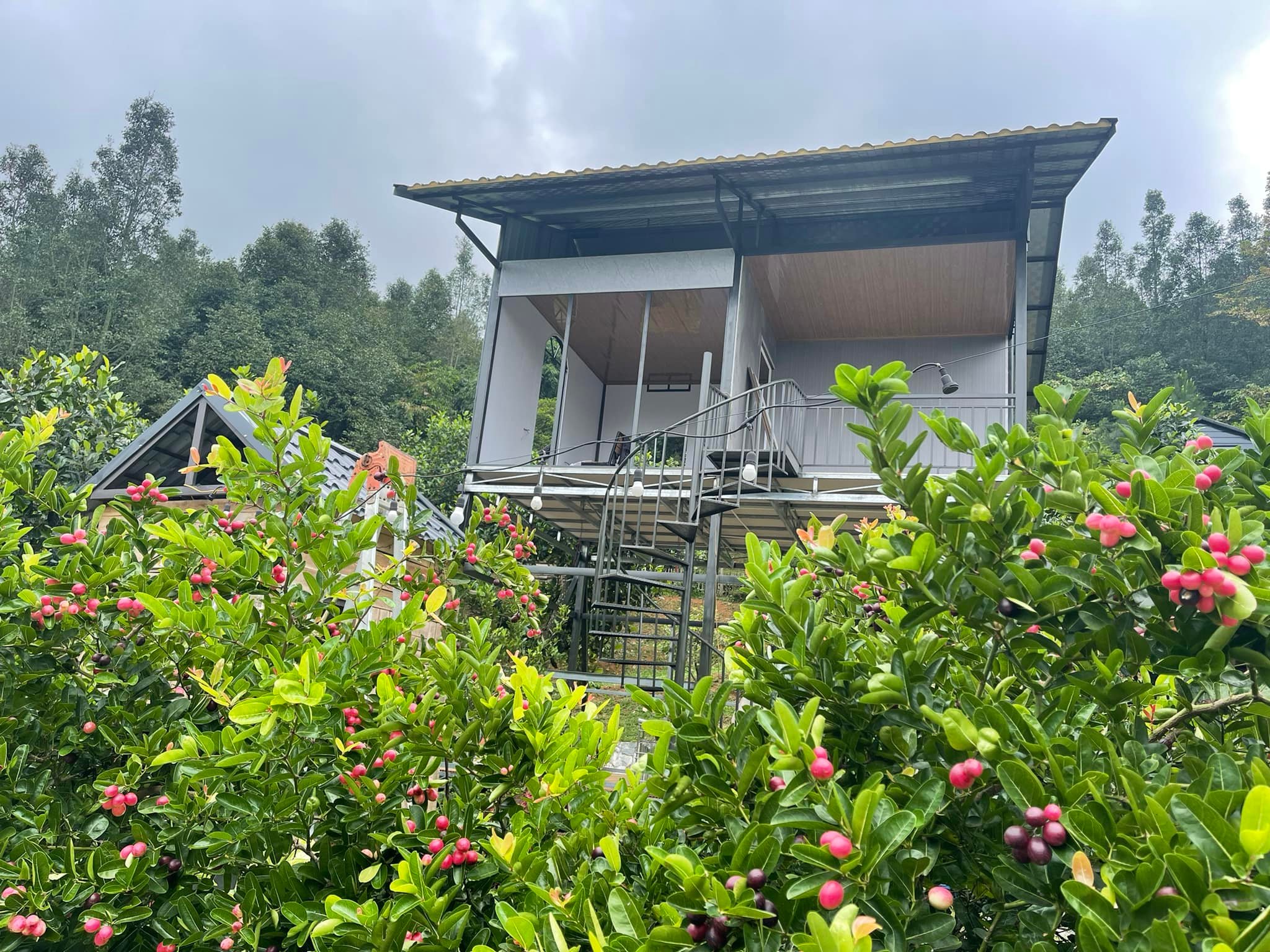 48114963922170934453530703603999579605288552n