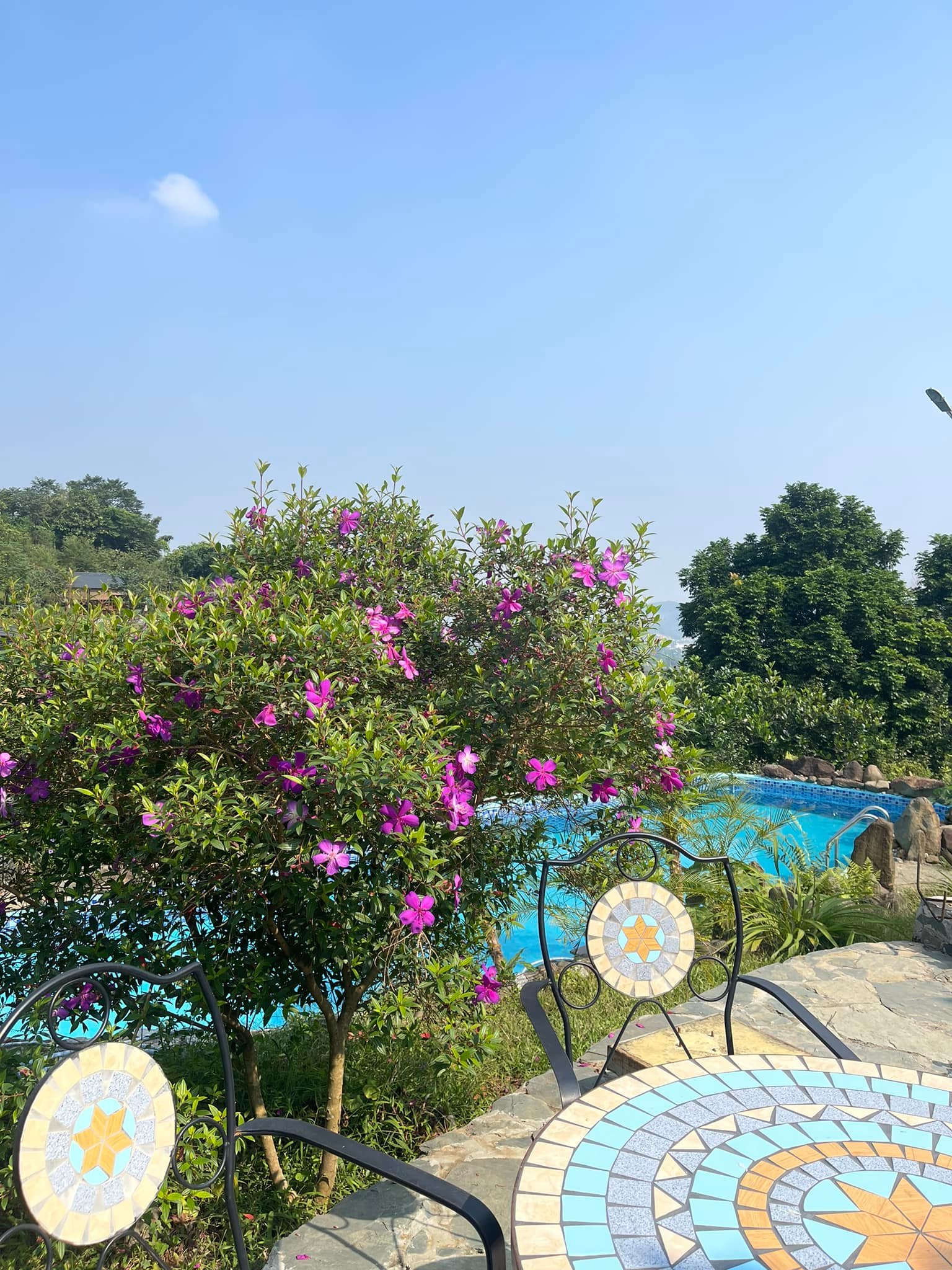 48170555222225171348107017086915273878241043n