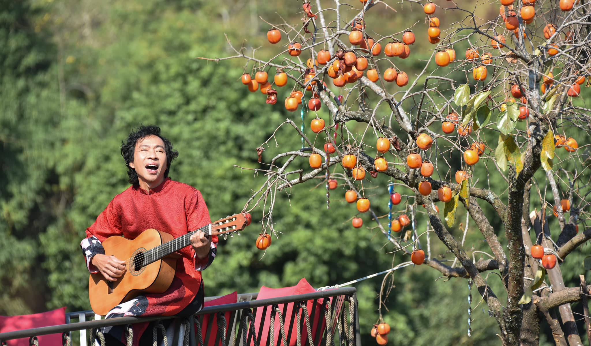 49162527322694212267869583612074429049567245n1