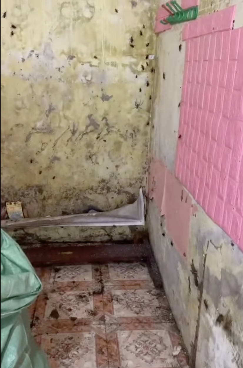 anh man hinh 2025 07 03 luc 201721 1751548952111110826148 1751598240215 17515982405141525601215 1