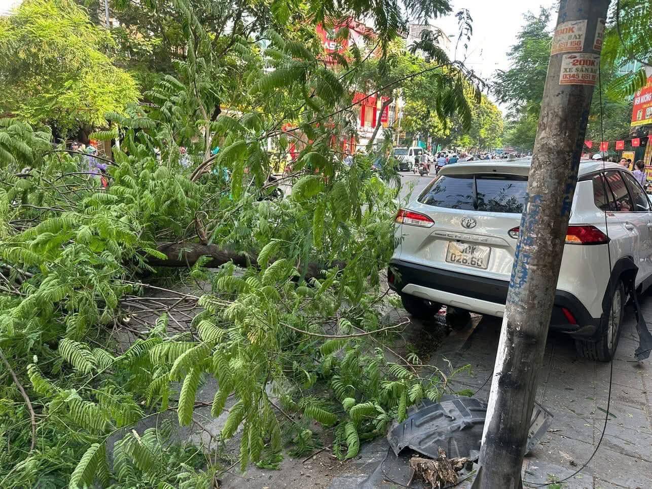 51673523341765734659073323759440087197028133n