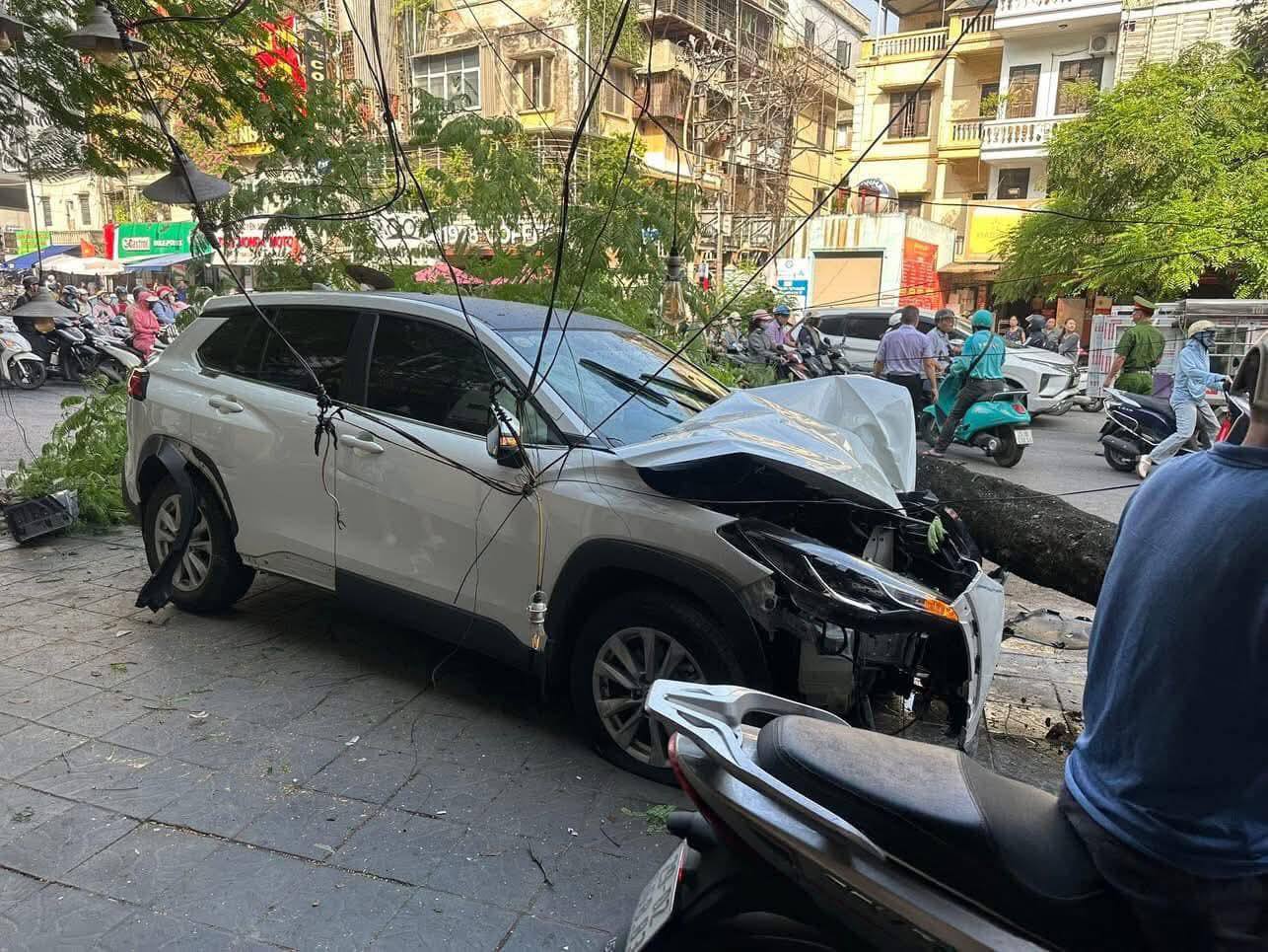 51678147241765735025739958918496628583515861n1