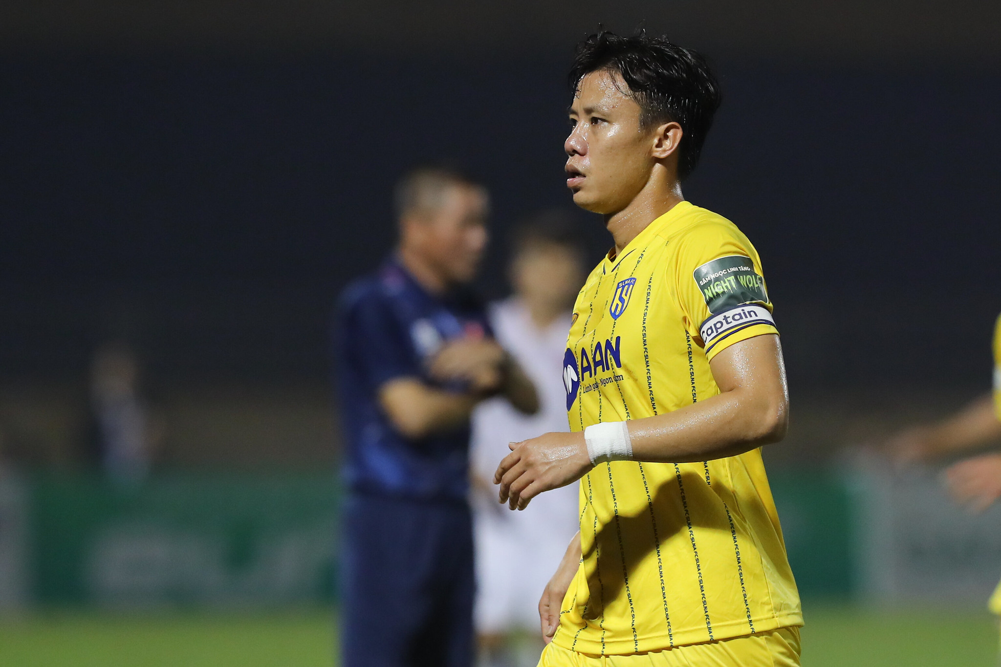 que ngoc hai slna