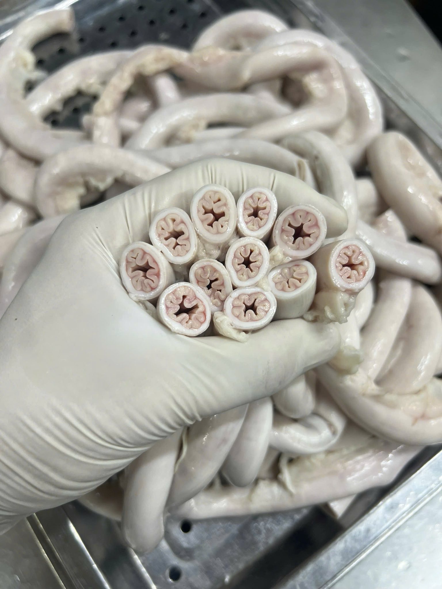 5153642657548924137244186626440343889906990n