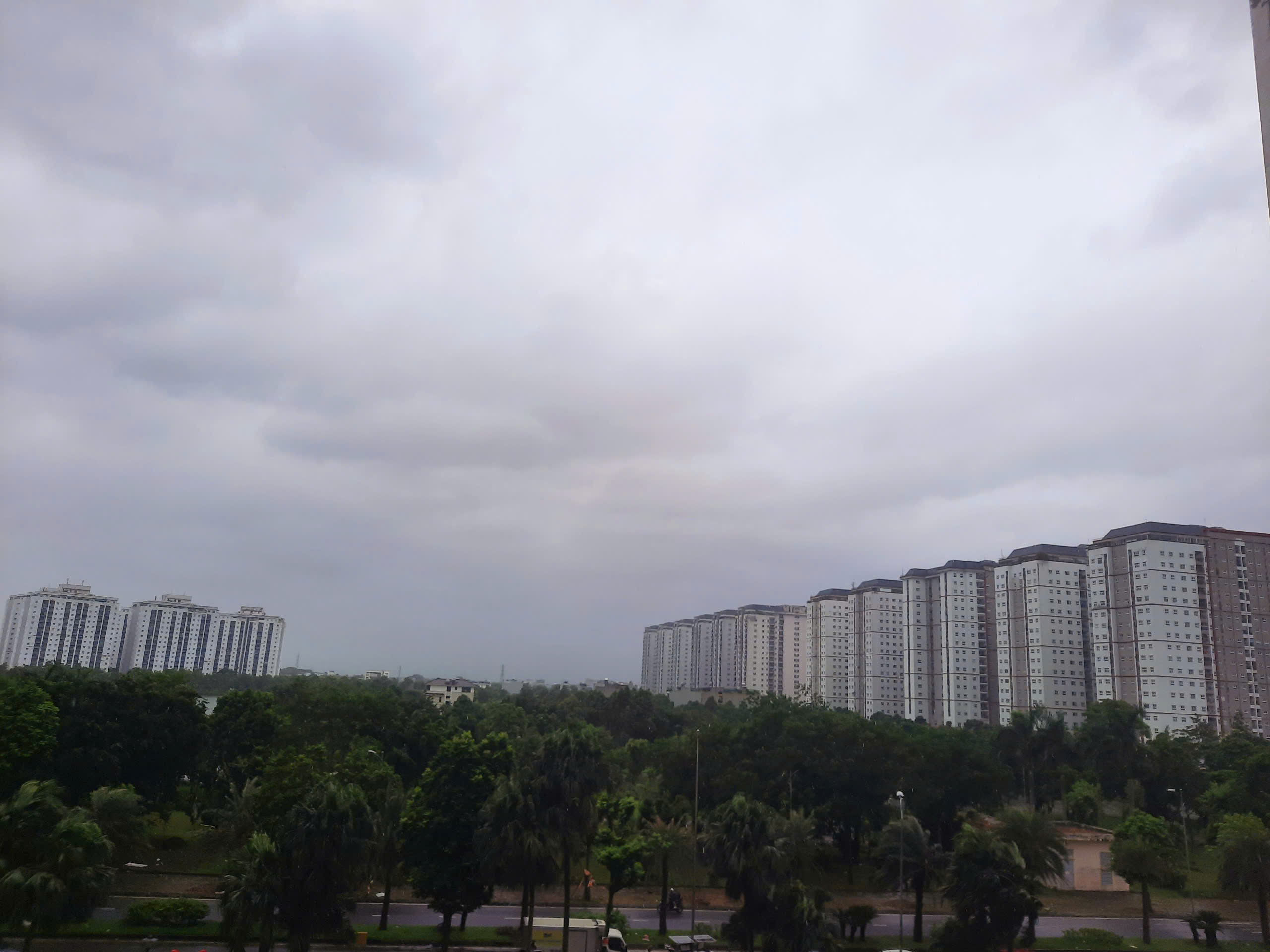 cdd5a48a01de8880d1cf