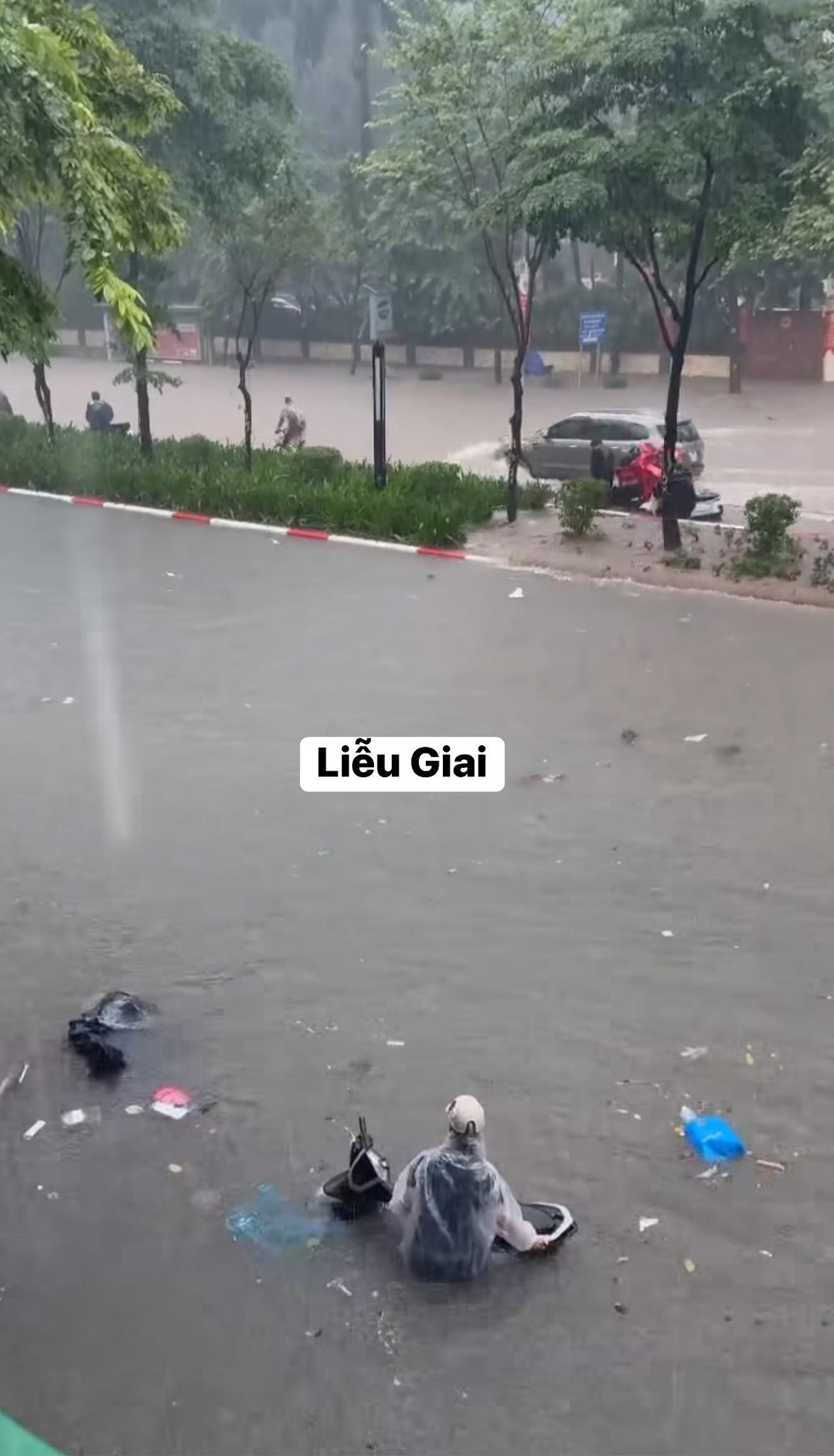 556831738102240391501659702231109384400582648n