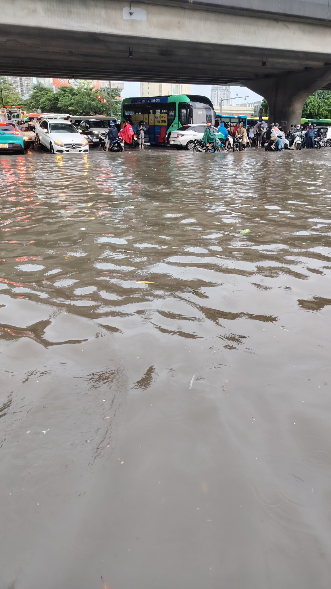 55691870713390671975775368640823553320840602n