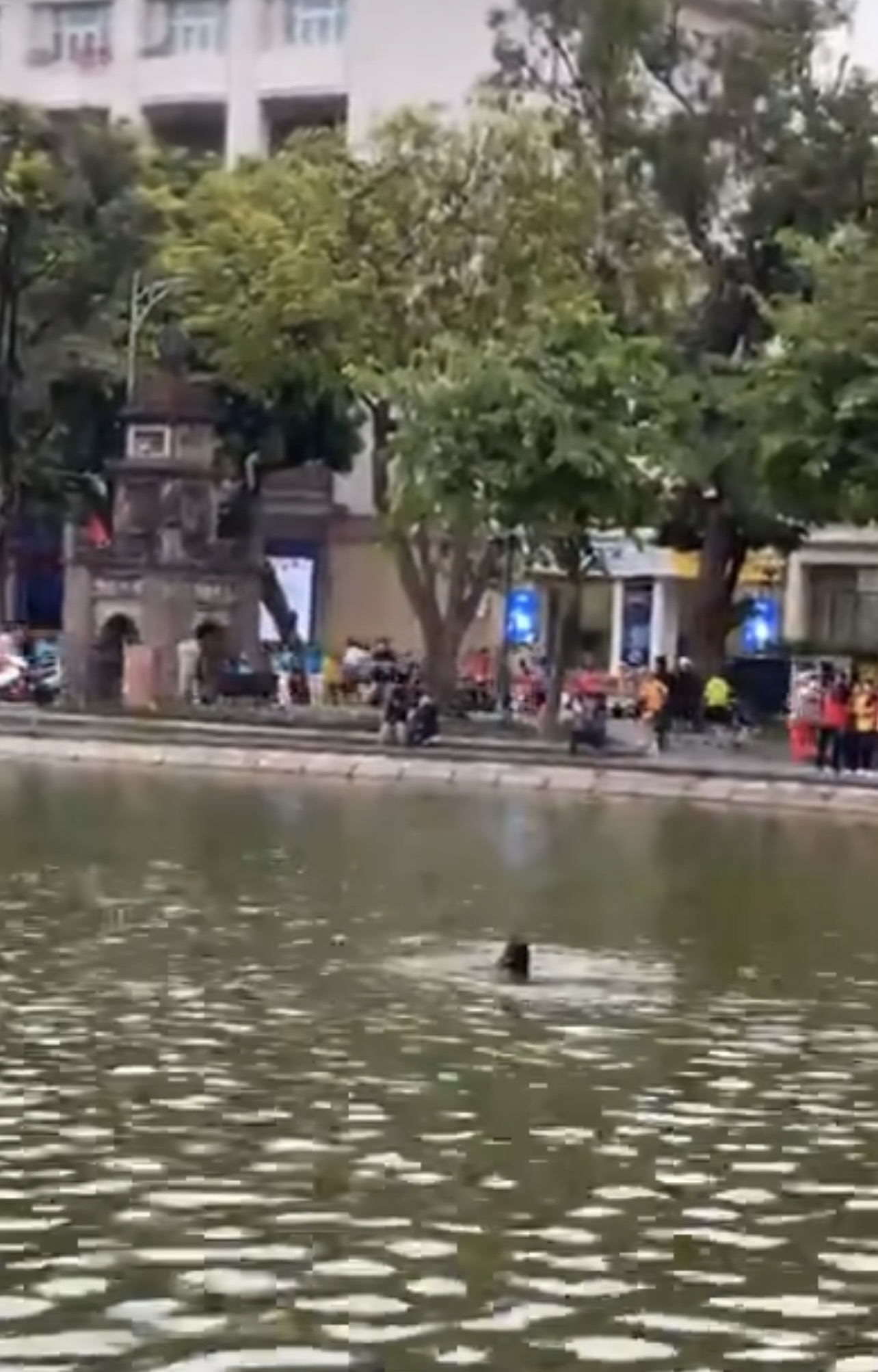 56984119913284722054867447678273505457653133n