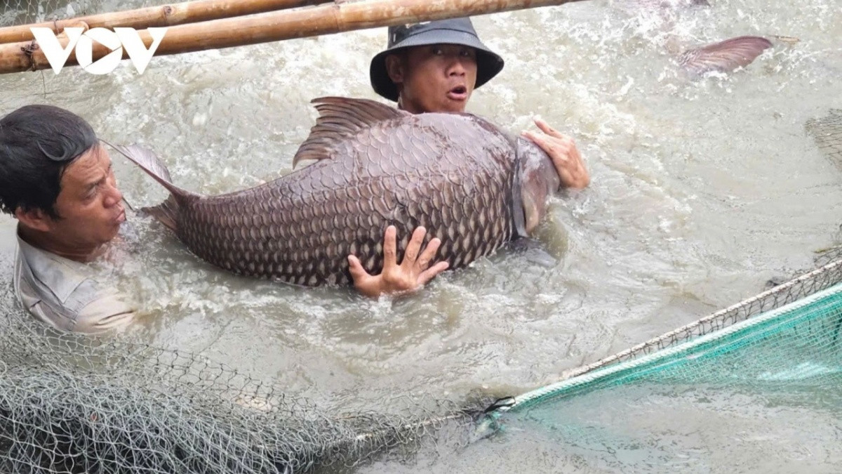 dautukinhtechungkhoanvn stores newsdataimages 2025 072025 09 08 nqs 820250709085831