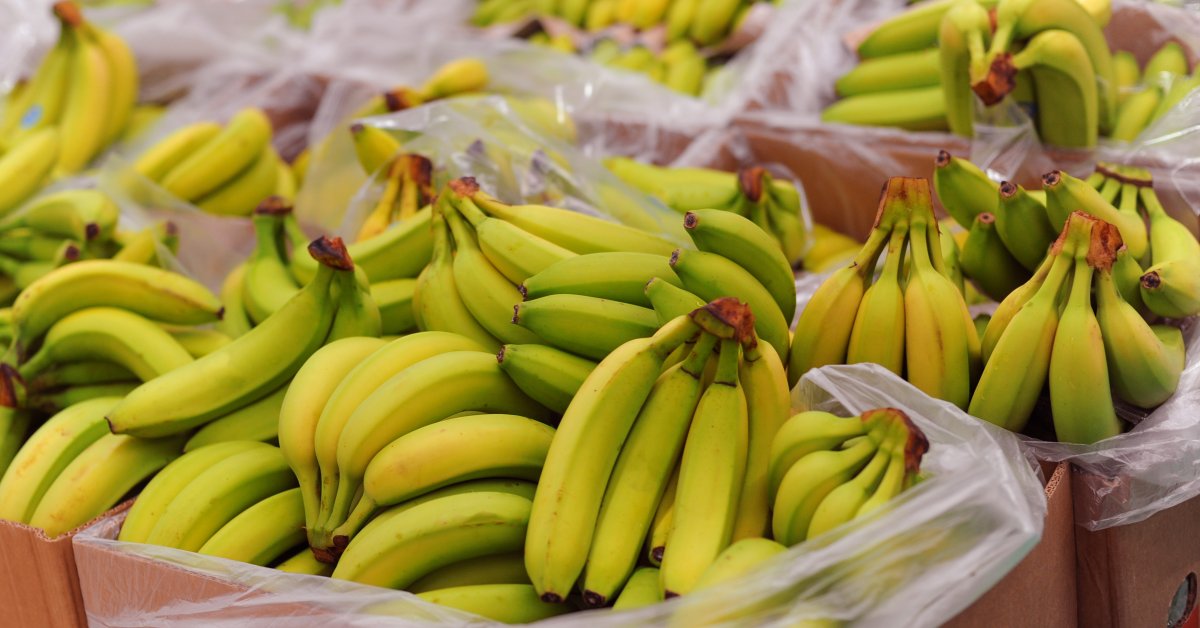 chuoi xuat khau tang gia hinh anh