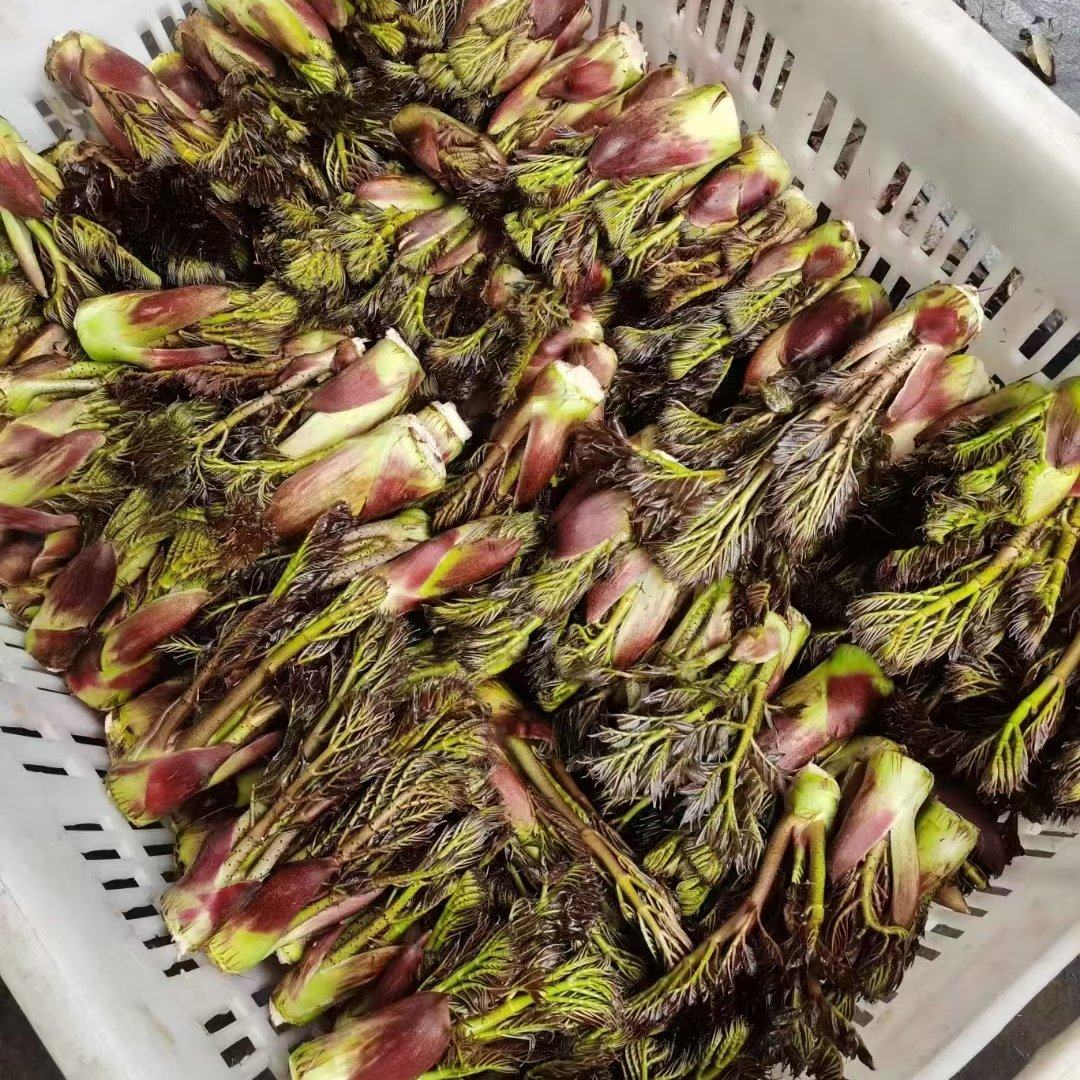 67c6ece8b82773179d844f2404380438