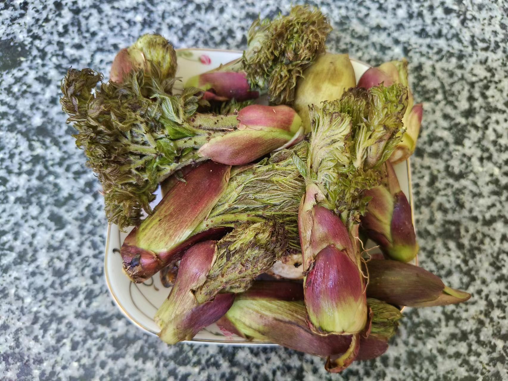 aa00b43558524d1dbfd4596f56711d25