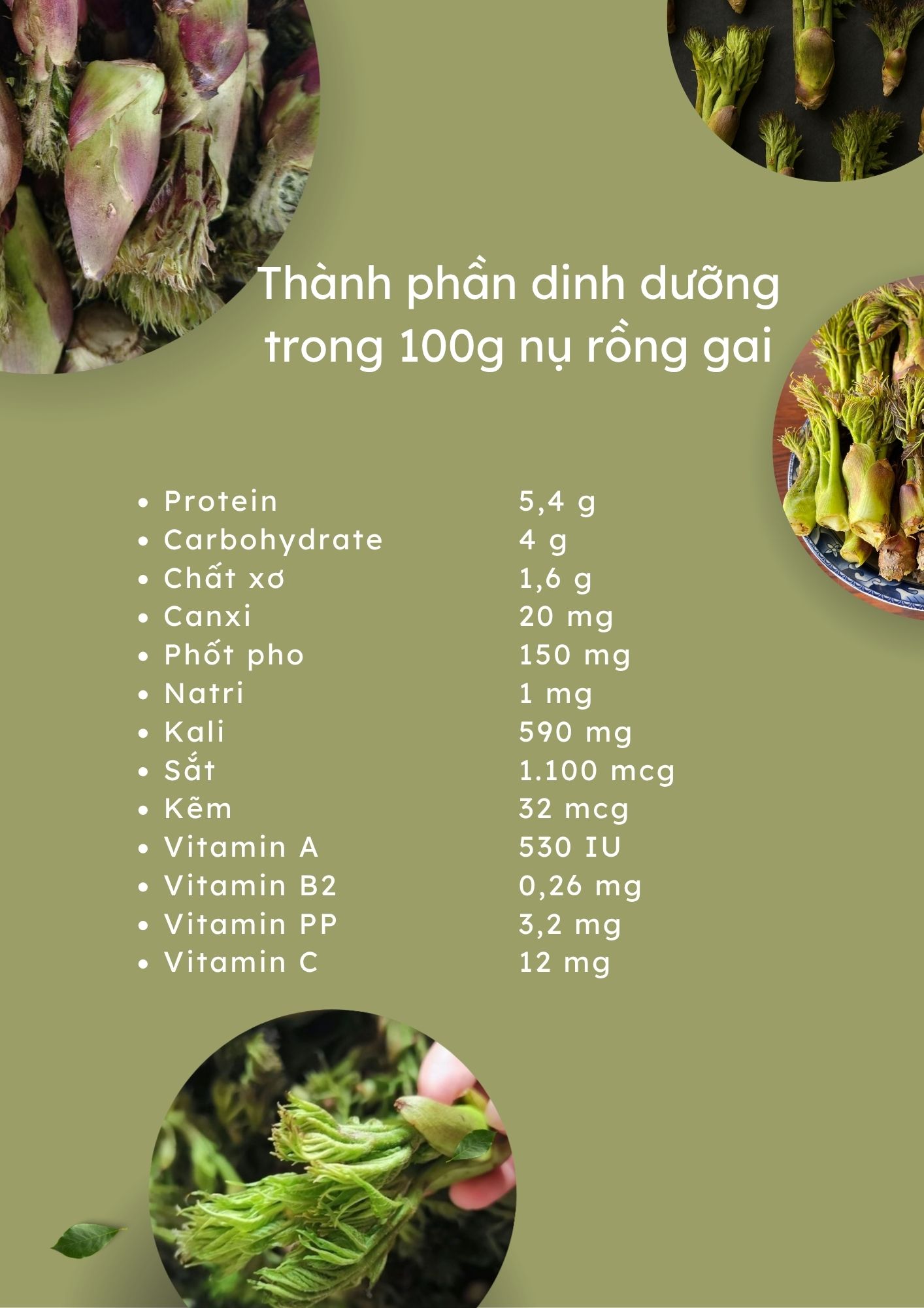 thanh phan dinh duong trong 100g nu rong gai 1