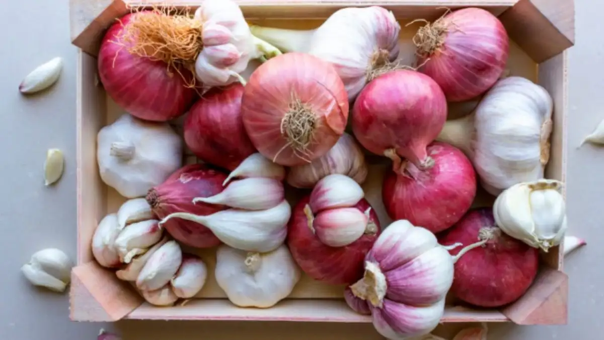 garlic and oinion 1739964377