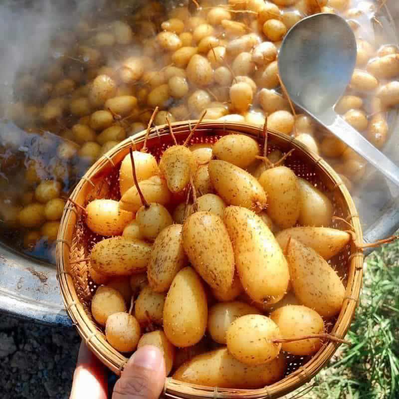 cu lun 1705307913114568440507 1705497892001 1705497892572109077508