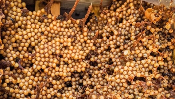 35bc7ade f88c 4e7c 89a8 7be6a13bfcd7