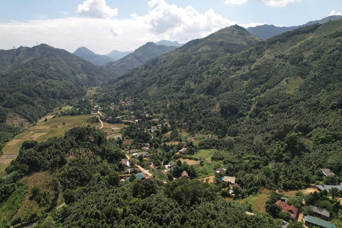 a 1 095918639 155539