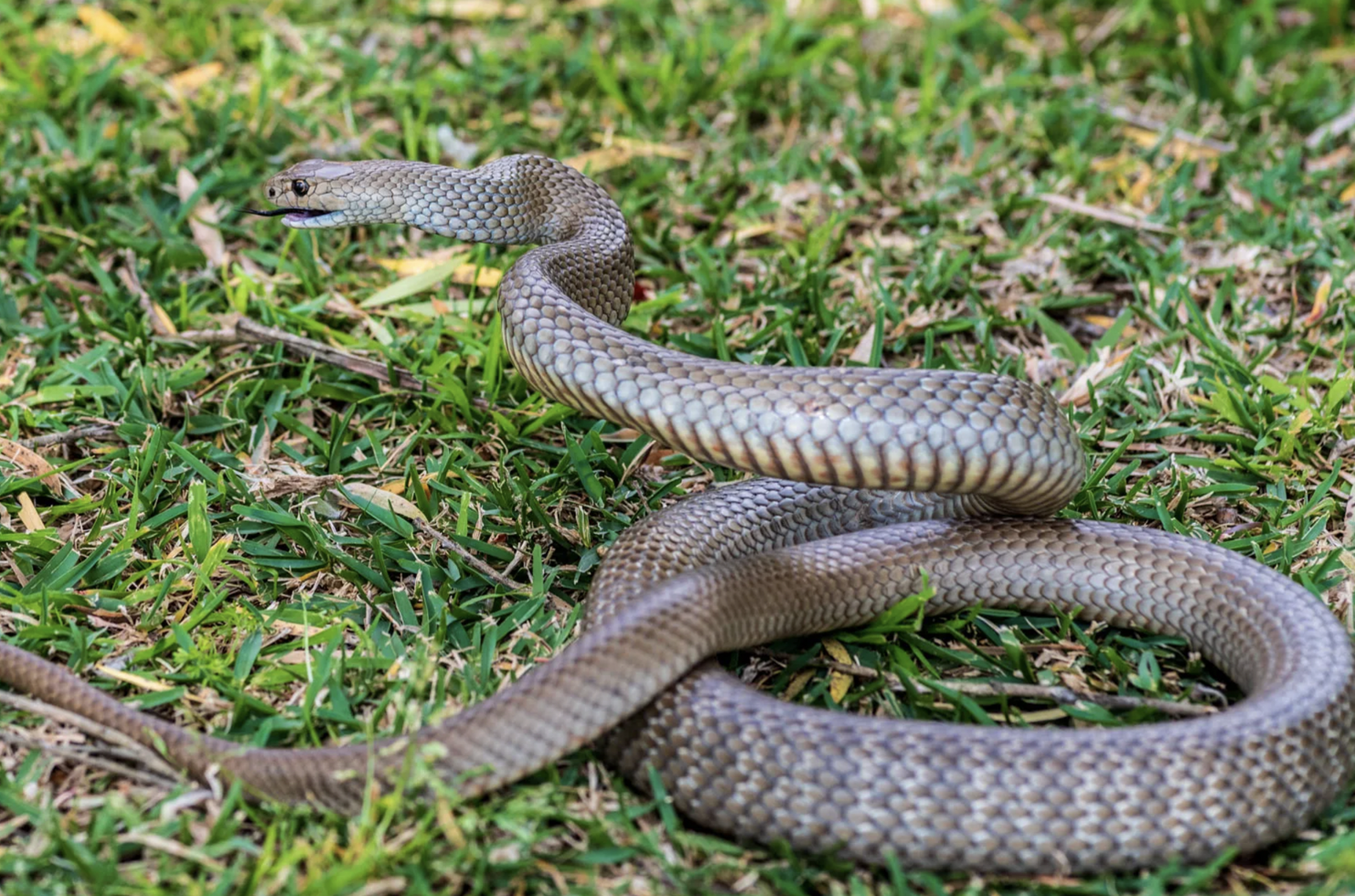 screenshot 2025 11 10 at 084104