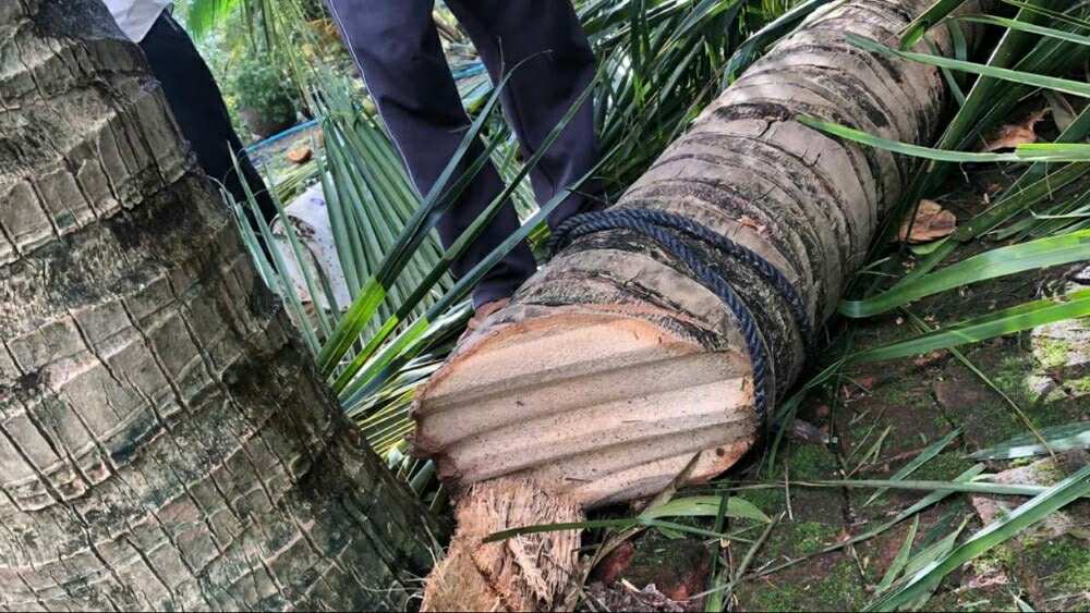 57968811217525526987835643580818995329006530n